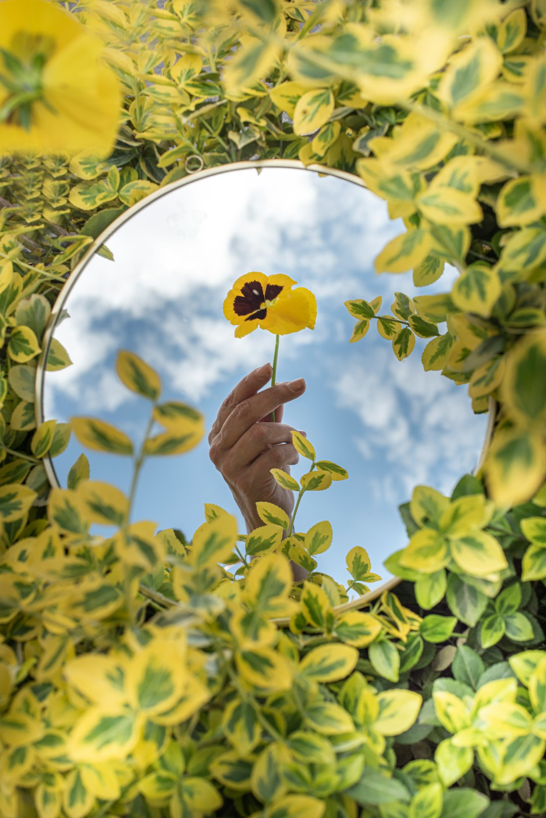 Photo by Larisa Birta person holding yellow flower under blue sky during daytime